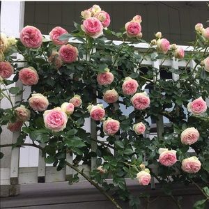 CLEARING OUT MY CLOSET! MY LOSS IS YOUR GAIN. 30% off EVERYTHING when you buy 2.